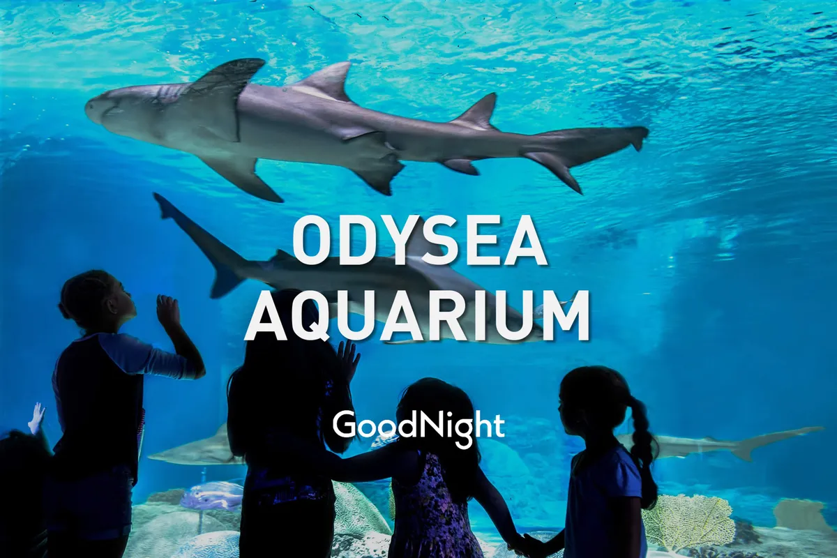 Children gaze in awe at sharks gliding through a large aquarium tank, bathed in blue light. The immersive setting emphasizes wonder, learning, and up-close animal encounters.