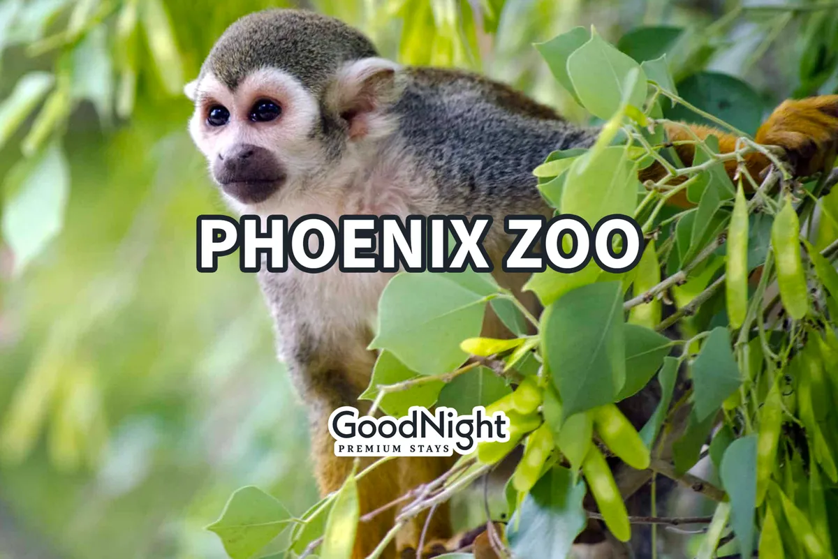A playful monkey perched on a branch surrounded by lush green leaves, inviting viewers into an environment that feels lively and educational. The image captures the spirit of animal watching and exploration, reminiscent of a family day at the Phoenix Zoo.
