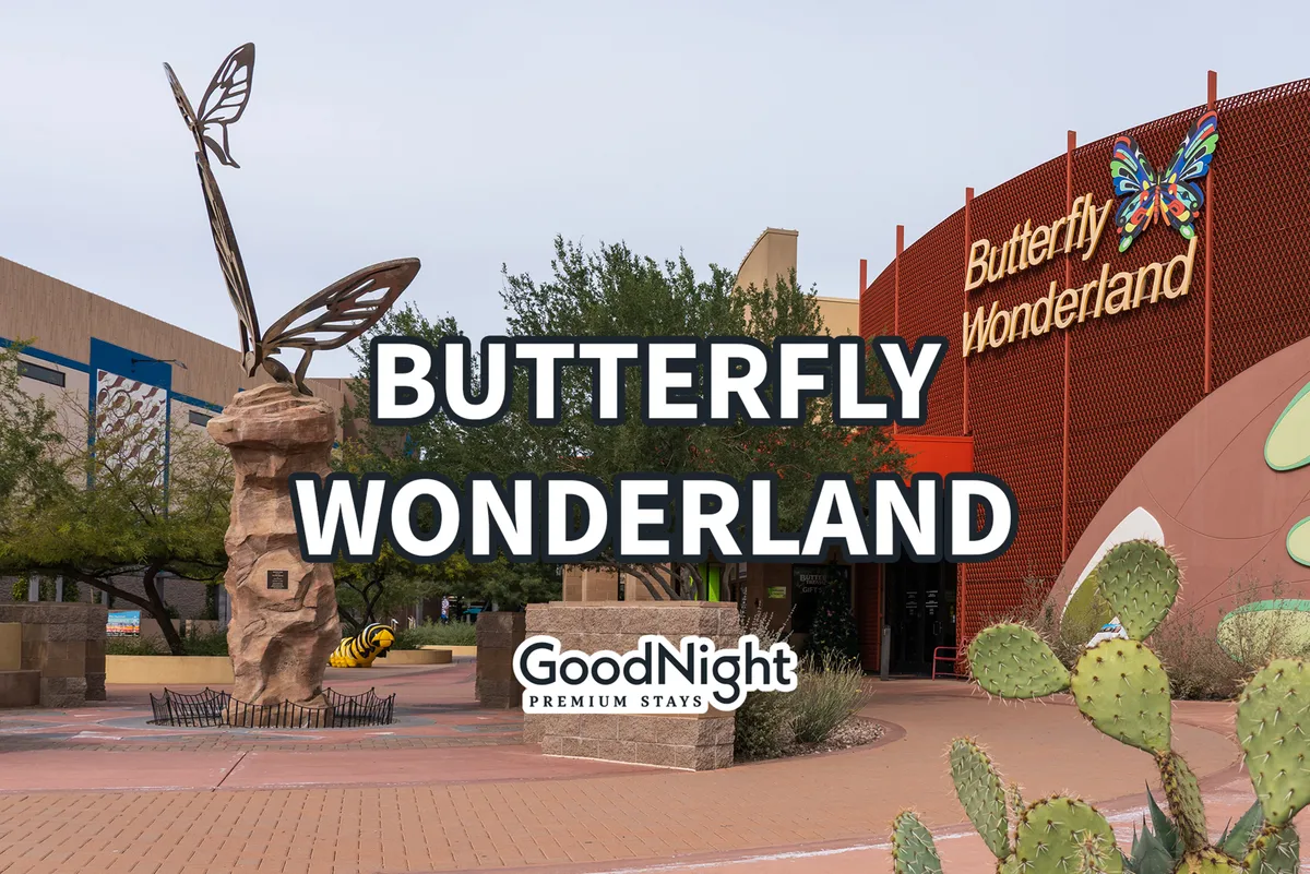 A large, whimsical butterfly sculpture sits in front of the Butterfly Wonderland sign, framed by well-manicured landscaping. The scene welcomes families and children, highlighting the fun and interactive nature of the attraction.